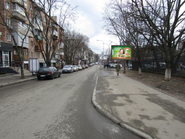 Беклайт 3.1x2.2,  Тринклера ул., 9 (напротив дома № 24), в центр