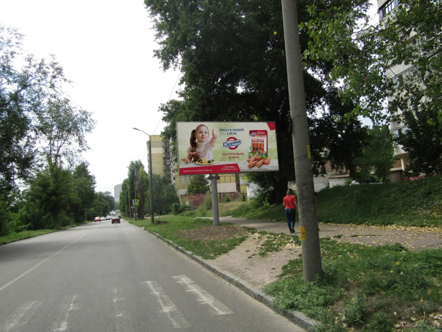 Щит 6x3,  Алексеенко ул., 106